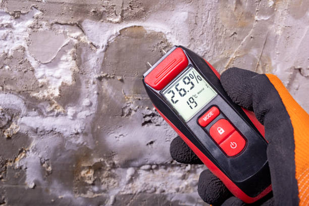 Best Bathroom Mold Remediation in Menomonee Falls, WI