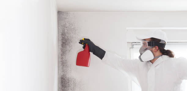 Menomonee Falls, WI Mold Remediation Company